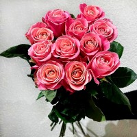 11 розовых роз (50 см)